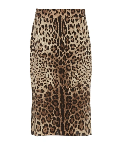 Dolce & Gabbana Leo Print Pencil Skirt In Black