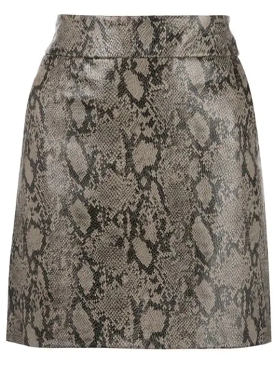 Frame Python-embossed Leather Mini Skirt In Brown