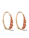 ANNOUSHKA 18KT YELLOW GOLD LARGE HIDDEN REEF SAPPHIRE HOOP EARRINGS