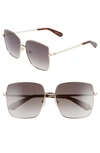 Kate Spade Fenton 60mm Gradient Square Sunglasses In Dkhavana/ Brown Gradient