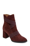 Andre Assous Porter Bootie In Wine Suede
