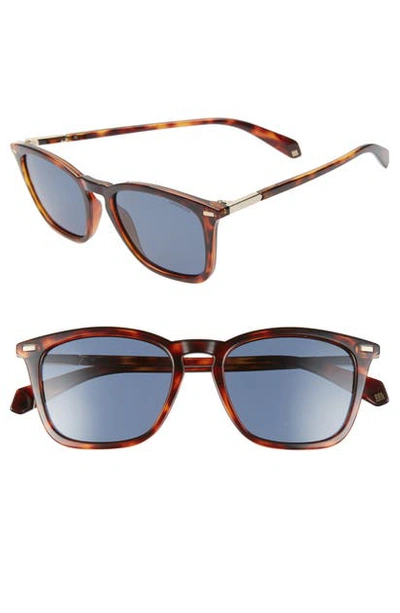 Polaroid 52mm Polarized Sunglasses In Dkhavana/ Grey Polarized