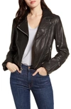 ANDREW MARC BUBBLE LEATHER MOTO JACKET,AW9A1040