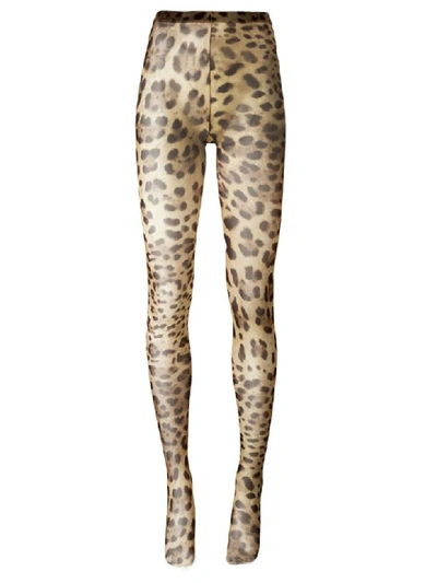 Dolce & Gabbana Leopard-printed Tights In Leo New