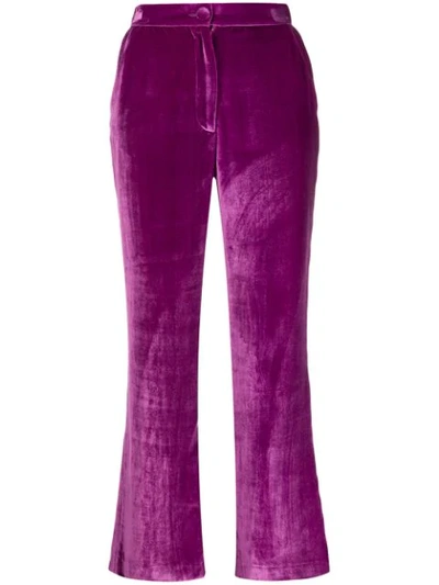 Almaz Cropped Flared Trousers In Purple