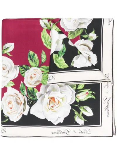 Dolce & Gabbana Rose Print Silk Scarf In White