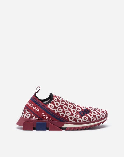 Dolce & Gabbana Knit Fabric Sorrento Sneakers With Dg Mania Print In Bordeaux