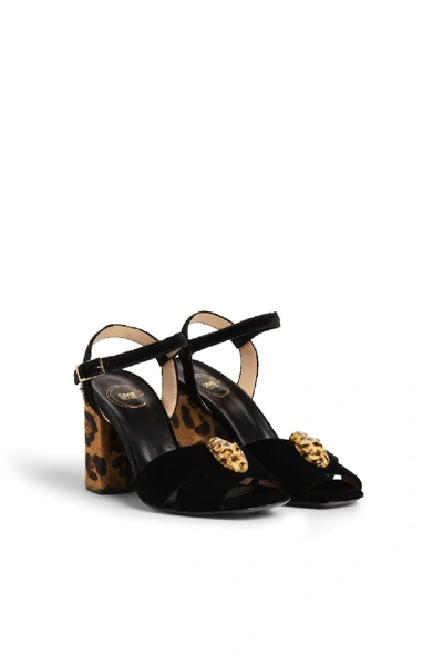 Roberto Cavalli Velvet Leopard Block Heel Sandals In Black