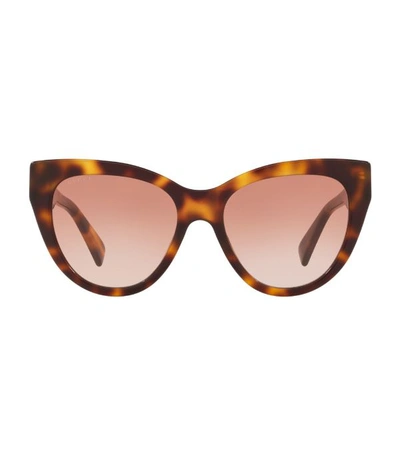 Gucci 53mm Gradient Cat Eye Sunglasses - Shiny Dk Hav/red Grad