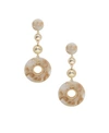 Ettika Looped In Resin Earrings In Light Brow