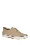 SPERRY Halyard CVO Canvas Sneaker