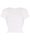 AMBRA MADDALENA FRANKIE SHEER T-SHIRT