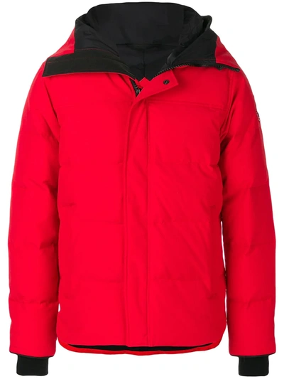 Canada Goose 连帽衬垫夹克 In Red