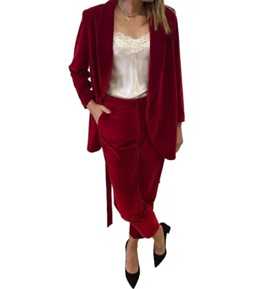 212 Goods Ankle Pants In Ruby Red Velvet In Burgundy