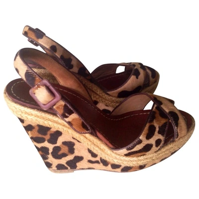Pre-owned Christian Louboutin Leopard Print Leather Sandals In Brown