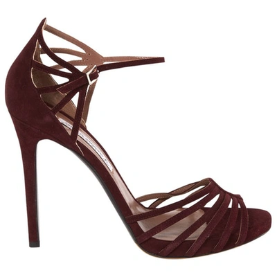 Pre-owned Tabitha Simmons Sandals In Burgundy