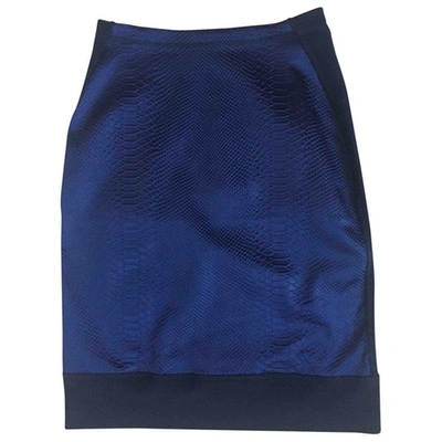 Pre-owned Richard Nicoll Mid-length Skirt In Blue