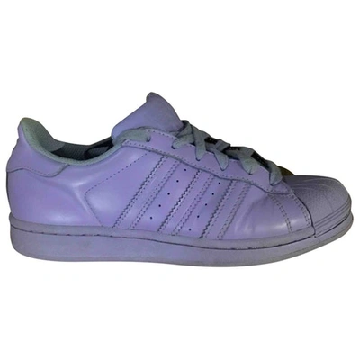 Pre-owned Adidas X Pharrell Williams Leather Trainers In Purple
