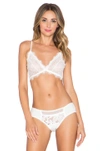 ANINE BING LACE BRA WITH TRIM,ANIN-WI4