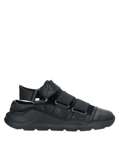 Malloni Sneakers In Black