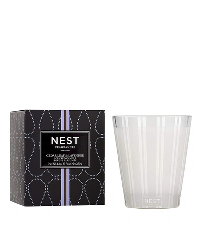 Nest Fragrances 'cedar Leaf And Lavender' Classic Candle In N/a