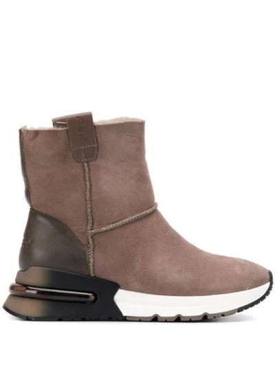 Ash Kyoto Ankle Boots In Dove Grey Colour