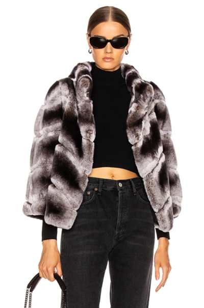 Yves Salomon Rex Rabbit Jacket In Chinchilla