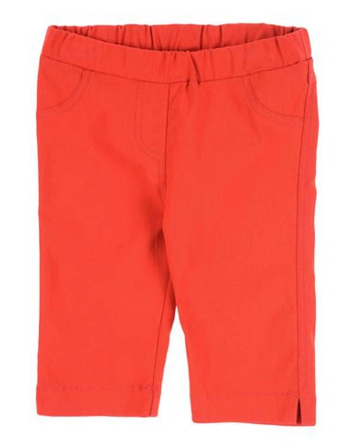 Twinset Pants In Red