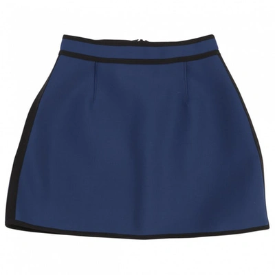Pre-owned Lisa Marie Fernandez Mini Skirt In Blue