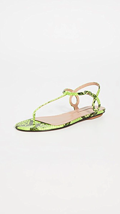 Aquazzura Almost Bare Snake-effect Leather Sandals In Acid Green