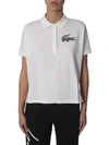 LACOSTE MULTIPLE COCCODRILLE POLO,11135056