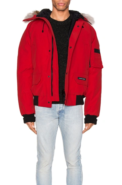 Canada Goose Chilliwack Bomber In Red