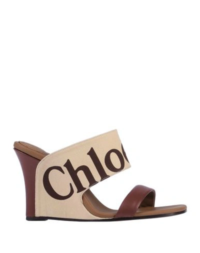 Chloé Sandals In Brown