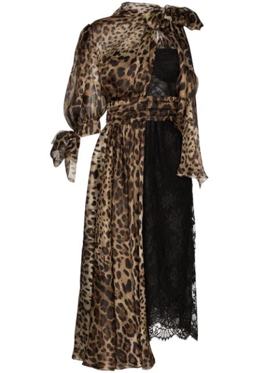 Dolce & Gabbana Tie-neck Leopard-print Silk-blend Voile And Lace Midi Dress In Black