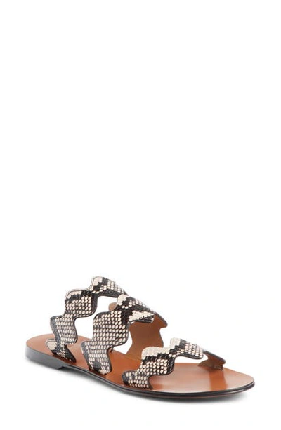 Chloé Lauren Scalloped Snake-effect Leather Slides In Eternal Grey