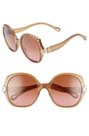 Chloé Vera 56mm Seashell Shape Sunglasses In Brown/ Brown