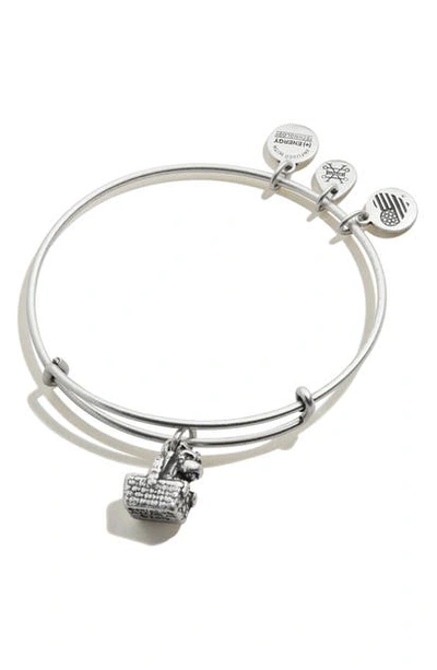 Alex And Ani Wizard Of oz Toto Expandable Wire Bangle In Rafaelian Silver