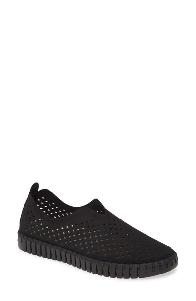 Ilse Jacobsen Tulip 139 Perforated Slip-on Sneaker In Black/ Black Fabric
