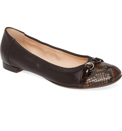 Agl Attilio Giusti Leombruni Cap Toe Ballet Flat In Softy Tomoro / Guya Brandy