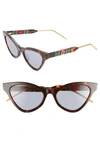 Gucci 55mm Cat Eye Sunglasses In Havana/ Blue Solid