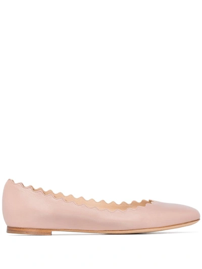 Chloé Chloe Lauren Scalloped Leather Ballerina Flat In Pink