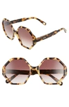 CHLOÉ WILLOW 55MM OCTAGONAL SUNGLASSES,CE750SL