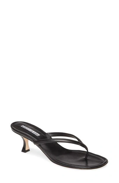 Manolo Blahnik Manolo Blanik Paterno Thong Sandal In Black Leather