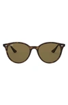 Ray Ban Phantos 53mm Polarized Round Sunglasses In Havana/ Brown Solid