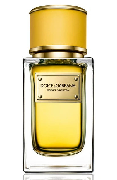 Dolce & Gabbana Beauty Velvet Ginestra Eau De Parfum, 1.7 oz