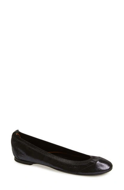 Agl Attilio Giusti Leombruni Elasticized Topline Ballet Flat In Navy Texture