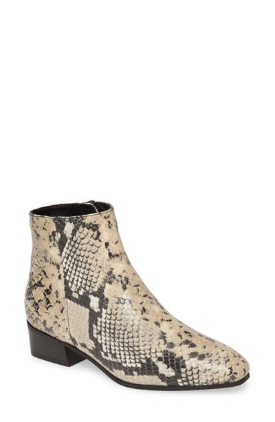 Aquatalia Fuoco Water Resistant Bootie In Taupe/ Black Snake Print