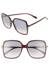 Gucci 57mm Square Sunglasses In Burgundy/ Blue Gradient