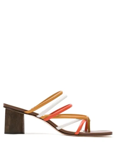 Framed Stripes On Feet Sandals In Multicolour