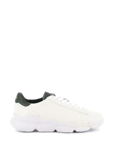 Rov Sneaker Suede Leather In White